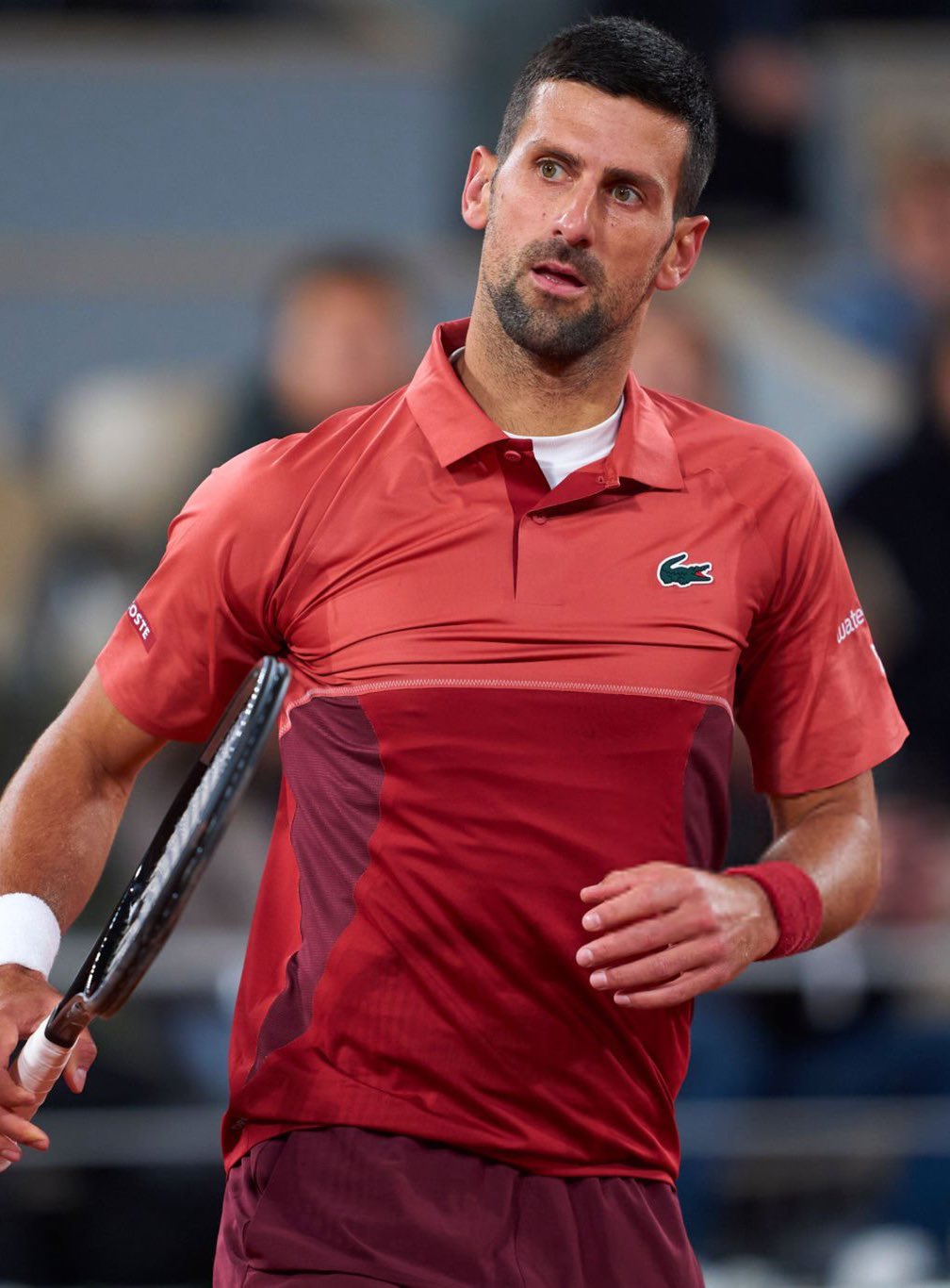 拉沃尔杯翻盘法网，德约科维奇关键制胜