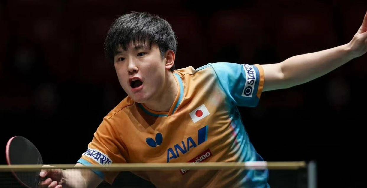 韩国队翻盘波兰队,张本智和高光表现 韩国队翻盘波兰队,张本智和高光表现