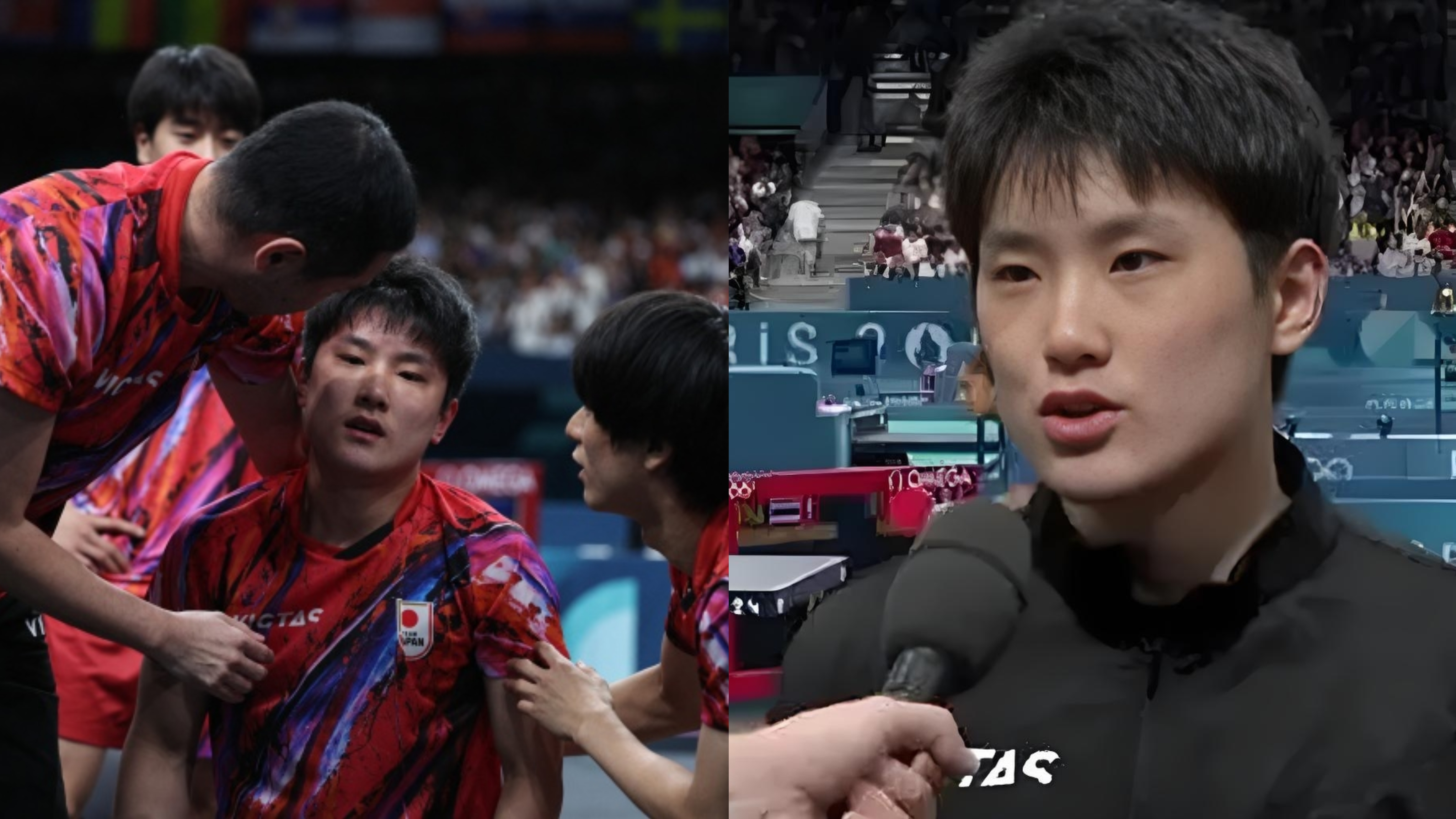 韩国队翻盘波兰队,张本智和高光表现 韩国队翻盘波兰队,张本智和高光表现