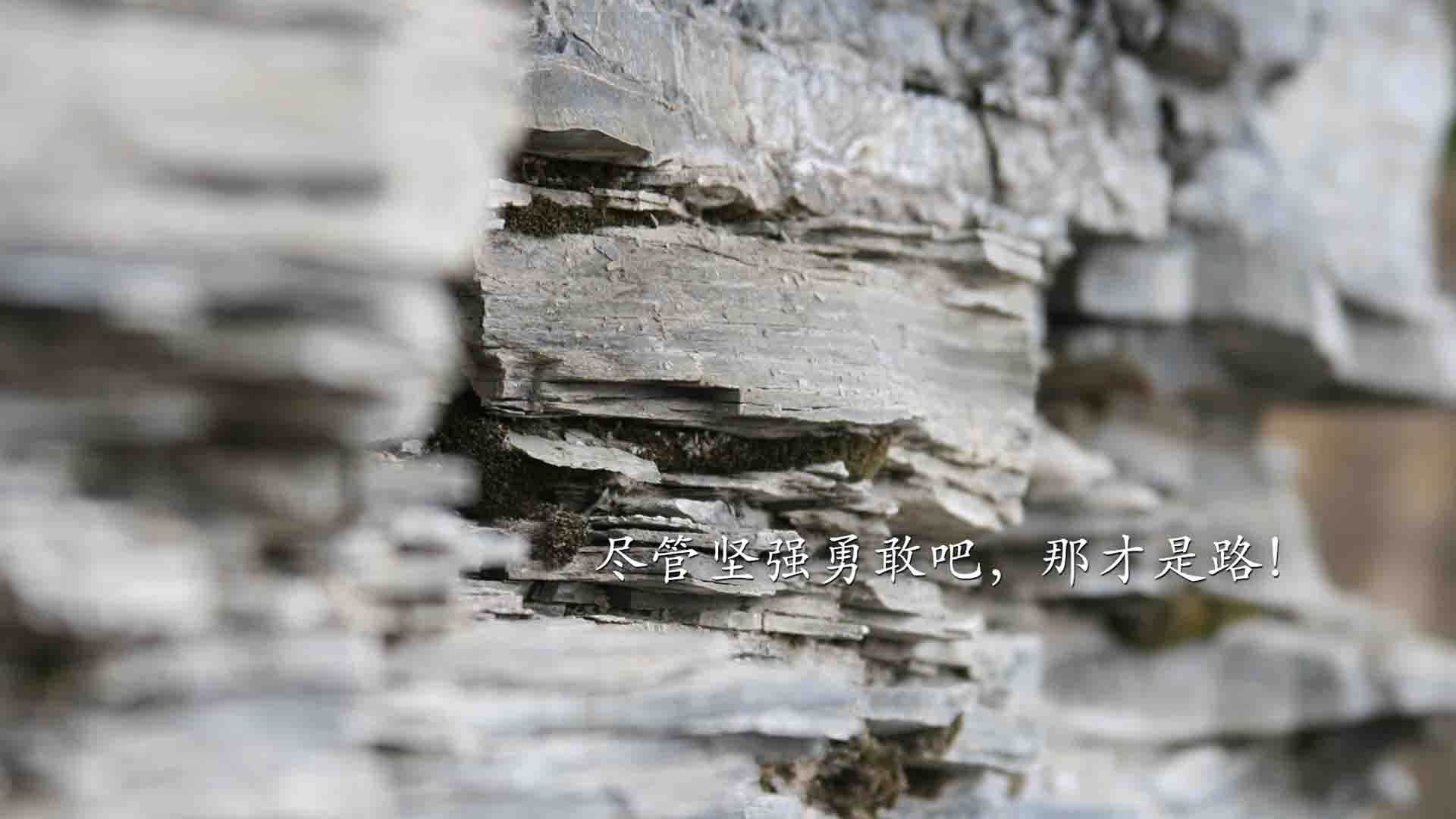 森林狼对阵浙江队,爱德华兹关键时刻站出来的背后